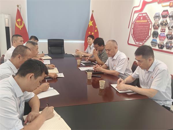 公司領(lǐng)導調(diào)研指導鼎信公司、藍盾...